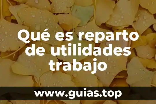Que es la comision nacional para el reparto de utilidades 5 Qué es reparto de utilidades trabajo