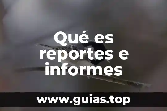 E que es en matemáticas 3 Qué es reportes e informes