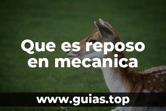 Reposo relativo ejemplos 4 Que es reposo en mecanica