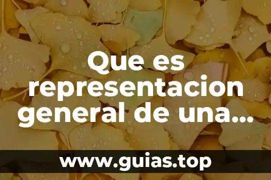 Que es una reacción de cambio de color 3 Que es representacion general de una reaccion quimica