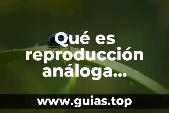 Que es el ritmo en la poesia ejemplos 6 Qué es reproducción análoga ejemplos