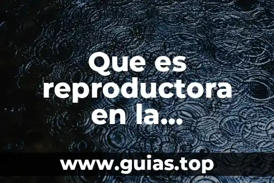 Que es un mojito yahoo 4 Que es reproductora en la educacion social en yahoo