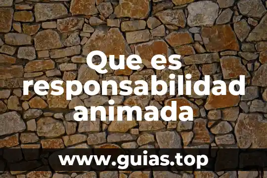 Que es la responsabilidad social universitaria concepto 4 Que es responsabilidad animada