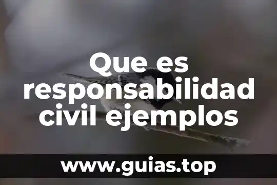 Qué es una declaratoria para la boda por el civil 8 Que es responsabilidad civil ejemplos