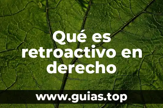 Que es escepticismo en derecho 6 Qué es retroactivo en derecho