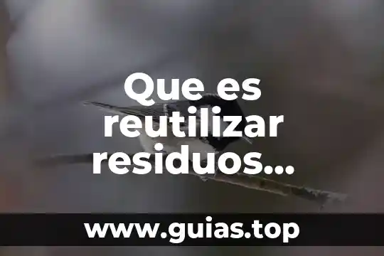 Que es reutilizar el agua en biologia 5 Que es reutilizar residuos solidos