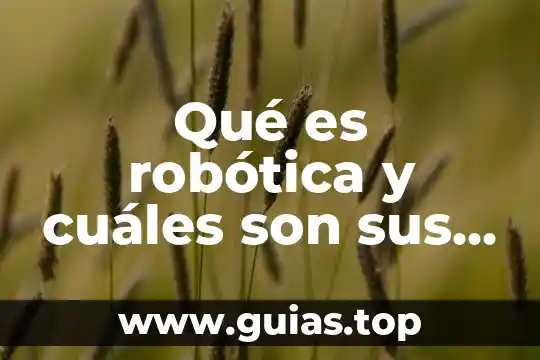 Qué es control y cuáles son los tipos de control 3 Qué es robótica y cuáles son sus aplicaciones