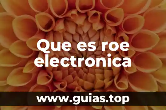 Que es un chiller en electronica 5 Que es roe electronica