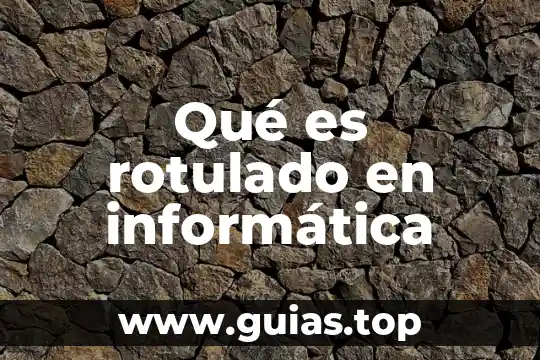 Qué es paradoja en informática 3 Qué es rotulado en informática