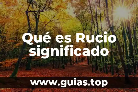 Que es desventaja significado y concepto 3 Qué es Rucio significado