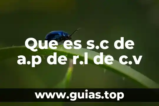 Compocisiondel agua oceanica que es rl cloruro 6 Que es s.c de a.p de r.l de c.v