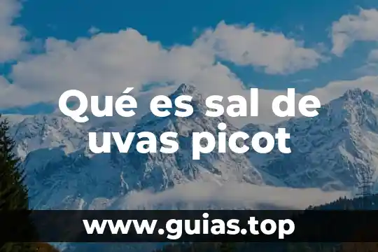 Que es el concepto de factura 6 Qué es sal de uvas picot