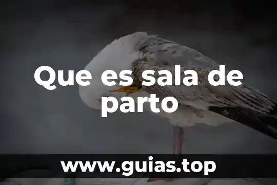Que es un parto eutocico simple 3 Que es sala de parto