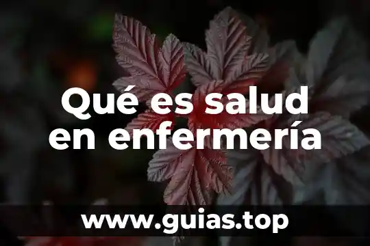 Que es enfermeria psiquiatrica tesis 3 Qué es salud en enfermería