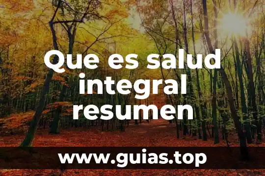 Que es un resumen como se hace 3 Que es salud integral resumen