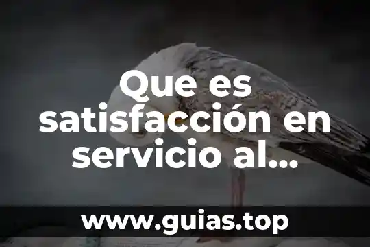 Que es ser un cliente 6 Que es satisfacción en servicio al cliente
