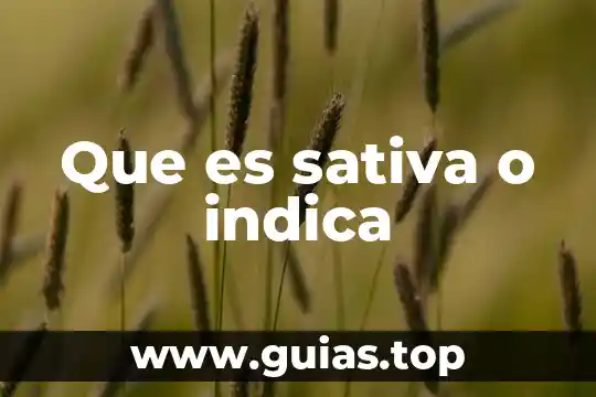 Símbolo que indica que es una empresa verde 6 Que es sativa o indica