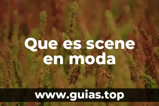 Que es una revista de moda 5 Que es scene en moda