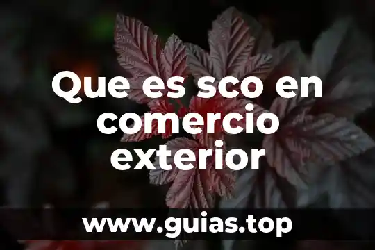 Qué es un número exterior 5 Que es sco en comercio exterior