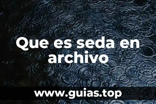 Qué es un archivo digital y cómo está compuesto 3 Que es seda en archivo