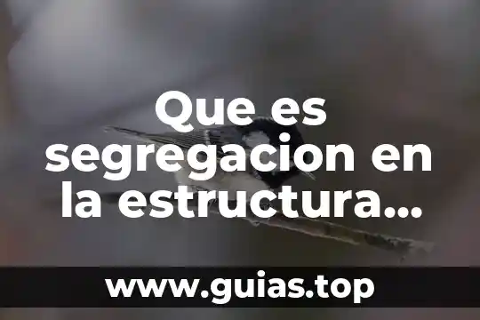 Qué es cibernética según Norbert Wiener 8 Que es segregacion en la estructura macroscopica