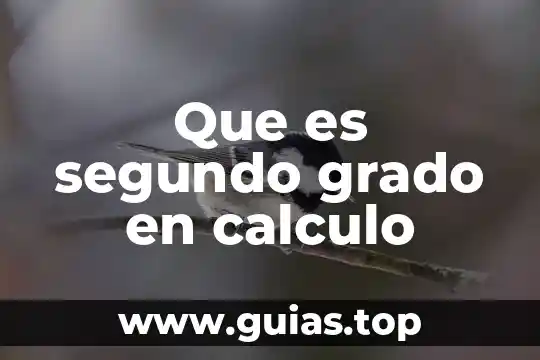 Qué es una ecuación de segundo grado en matemáticas 3 Que es segundo grado en calculo