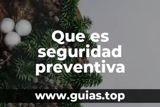 Que es seguridad preventiva