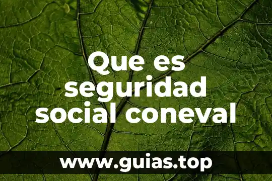 El número de seguridad social Colombia 4 Que es seguridad social coneval
