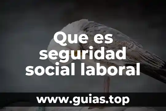 Qué es el código de vestimenta laboral 5 Que es seguridad social laboral