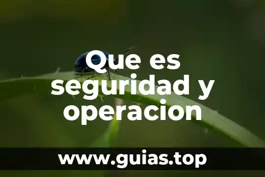 Que es el pictograma de seguridad 5 Que es seguridad y operacion