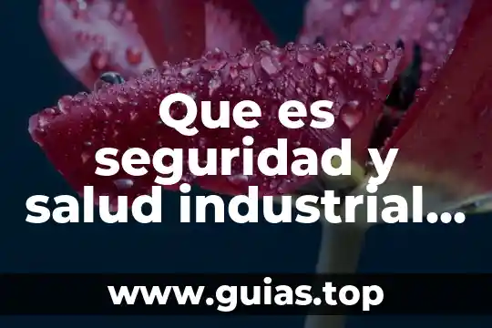 Lámpara de prueba automotriz que es 3 Que es seguridad y salud industrial automotriz