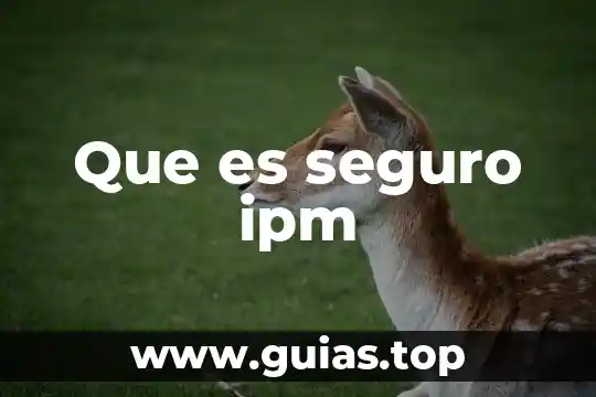 Que es el seguro de transporte de mercancias terrestre 8 Que es seguro ipm
