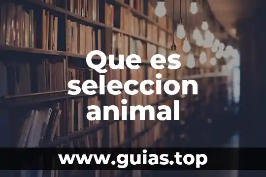 Que es un betta importado de seleccion 8 Que es seleccion animal