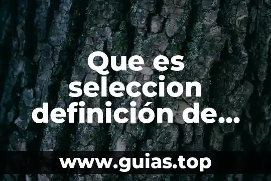 Qué es una heurística definición 6 Que es seleccion definición de ambiente