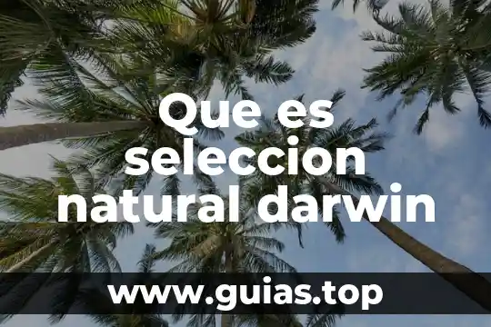 Que es seleccion animal 4 Que es seleccion natural darwin