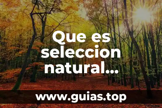 Que es seleccion animal 5 Que es seleccion natural direccional
