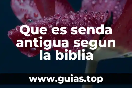 Qué es el fuego en la Biblia 4 Que es senda antigua segun la biblia
