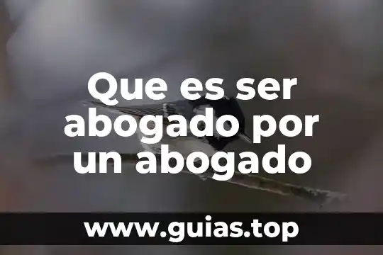 Zend que es 7 Que es ser abogado por un abogado