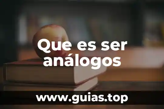 Qué es una anela programación 6 Que es ser análogos