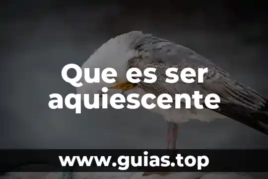 Que es ser bueno en algo 3 Que es ser aquiescente
