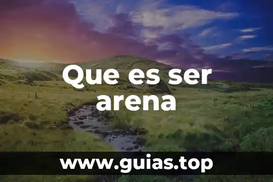 Que es el sistema o programa arena 3 Que es ser arena