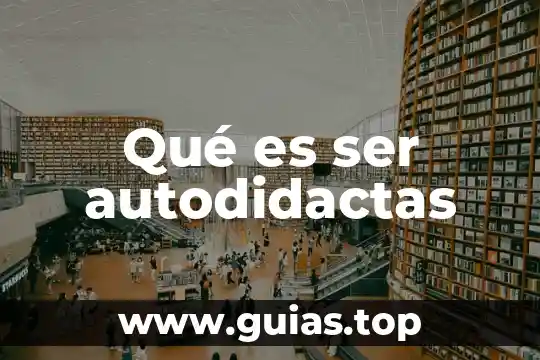 Que es un ser bidimensional 5 Qué es ser autodidactas