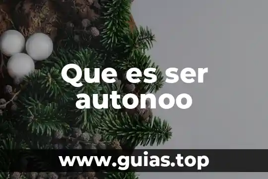 Que es ser tex mex 7 Que es ser autonoo