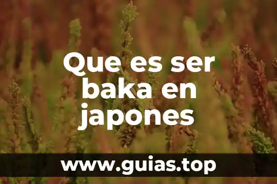 Que es mas facil aprender aleman o japones 6 Que es ser baka en japones