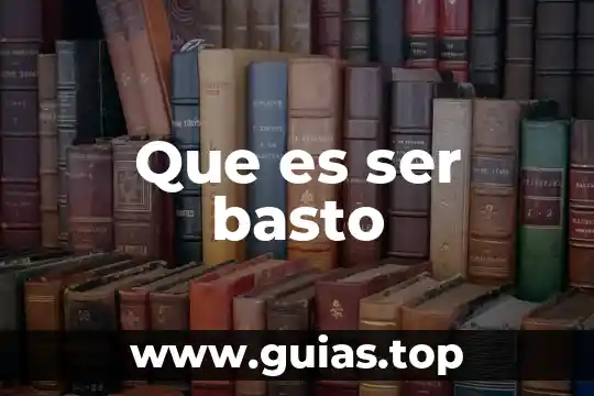 Que es ser backend 4 Que es ser basto