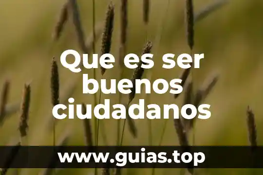 Que es la forma de ser de un individuo 6 Que es ser buenos ciudadanos