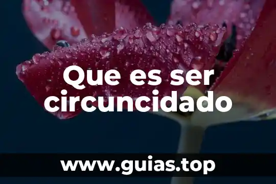 Que es un ser bidimensional 4 Que es ser circuncidado