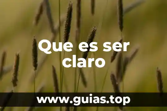 Que es ser garante en derecho penal 4 Que es ser claro