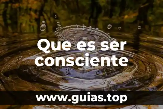 Que es ser consciente de algo 4 Que es ser consciente
