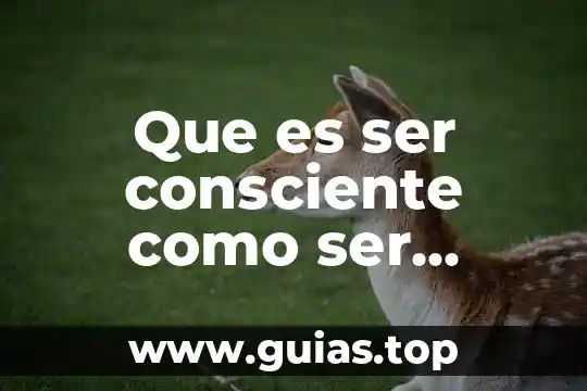 Que es ser consciente de algo 5 Que es ser consciente como ser humano